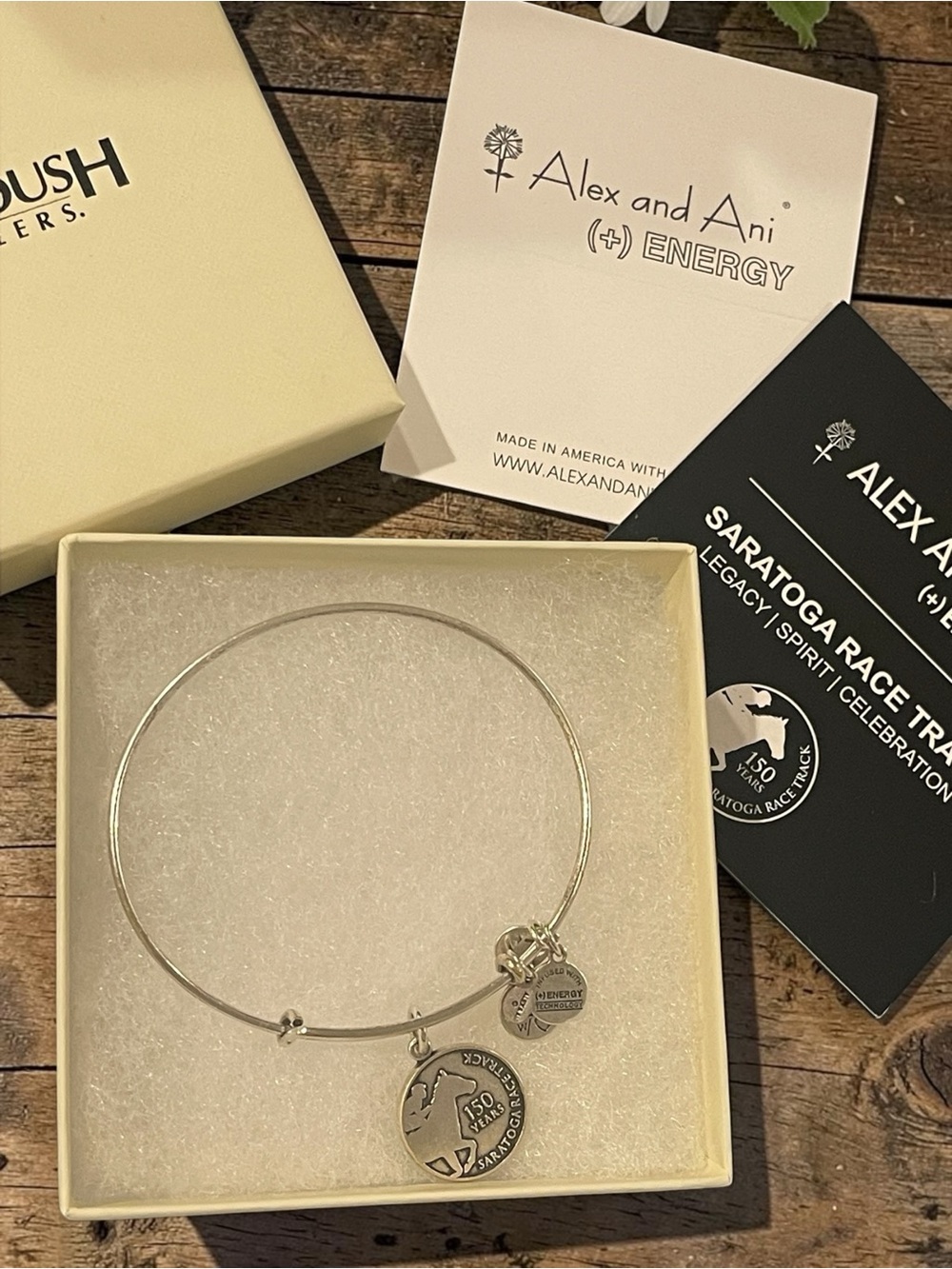 🪷 Alex and Ani Saratoga Race Track 150 Years Charm Bracelet with Box & Cards